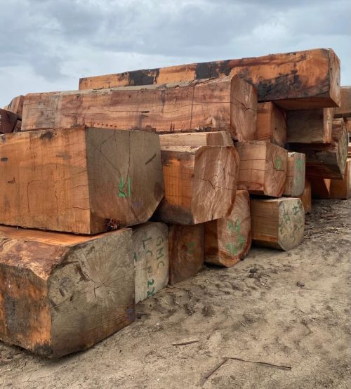 Acajou Log